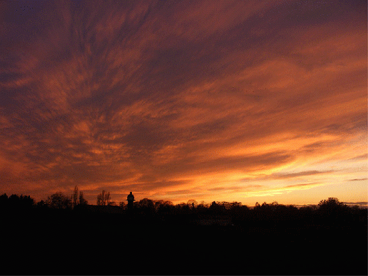 2008-11-cdj-Sonnenuntergang bei Feudenheim