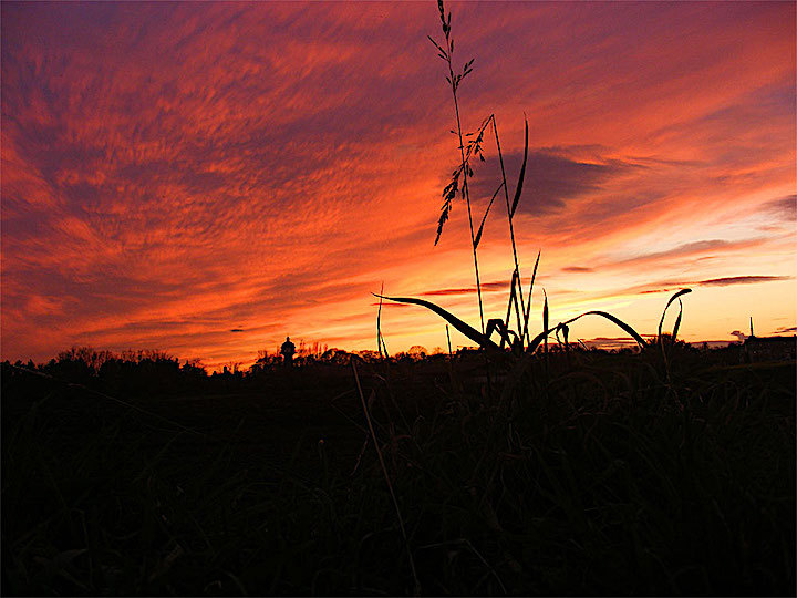 2008-11-cdo-sonnenunterg-x