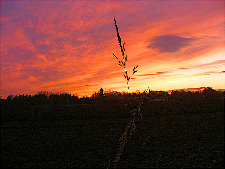 2008-11-cdoa-sonnenunterg-x