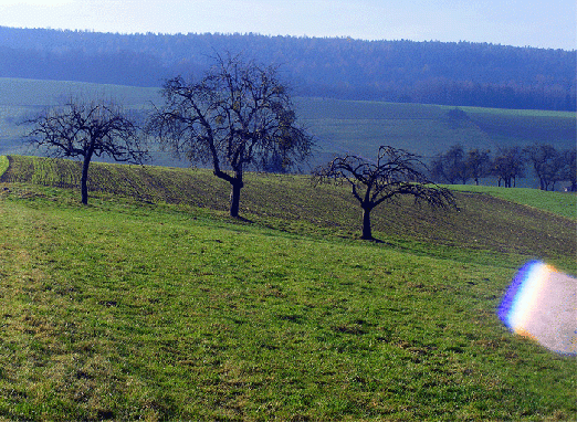 2008-11-hcb-Linsenspiegelung in der Kamera