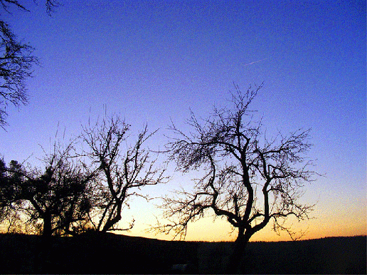 2008-12-edb-Sonnenuntergang - Odenwald