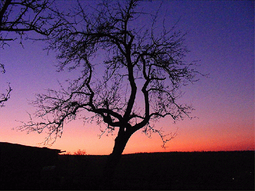 2008-12-edf-Sonnenuntergang - Odenwald