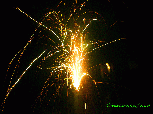 2009-01-adk-Silvester-Feuerwerk