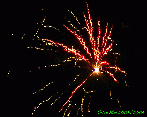 2009-01-adm-Silvester-Feuerwerk