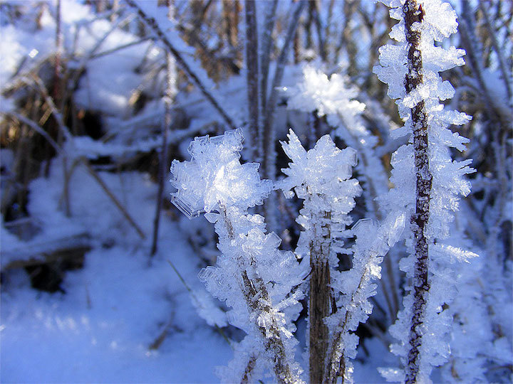 2009-01-cfd-eiskristalle-x