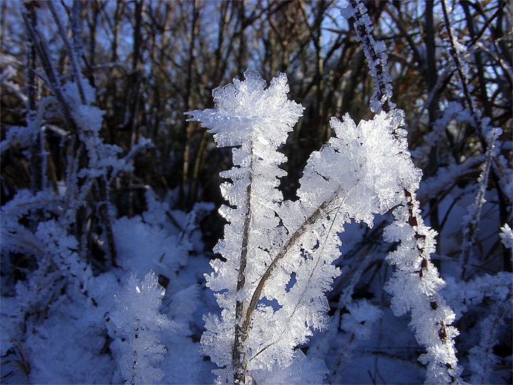 2009-01-cfe-eiskristalle-x