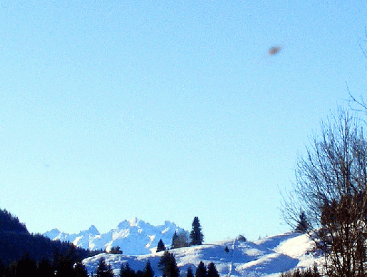 2009-02-0940-Vogel-Ufoeffekt - Weissensee (Ausschnitt)