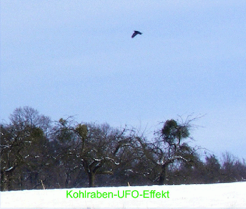 2009-02-cda-Kohlraben-u00dcberflug