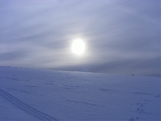 2009-02-ced-Sonnen-Effekt bei Vielbrunn