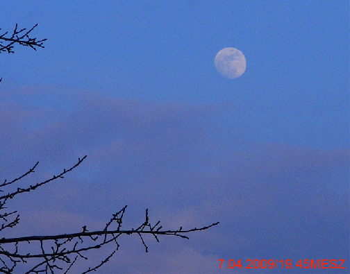 2009-04-bca-Mond u00fcber Odenwald