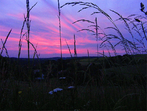 2009-05-dab-Sonnenuntergang - Odenwald