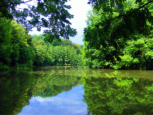 2009-06-anza-Fasanerie - Aschaffenburg