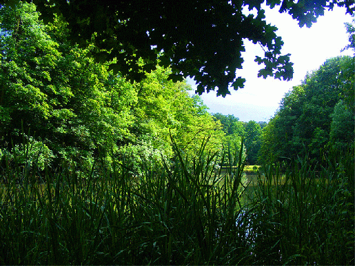 2009-06-aoa-Fasanerie - Aschaffenburg