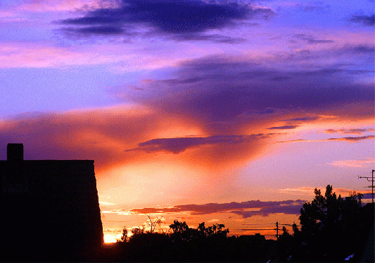 2009-06-bz-Sonnenuntergang - Mannheim