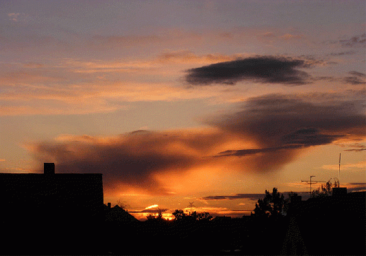 2009-06-bzc-Sonnenuntergang - Mannheim