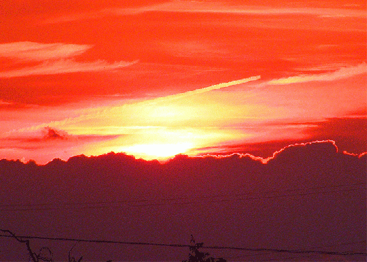 2009-06-fab-Sonnenuntergang - Mannheim