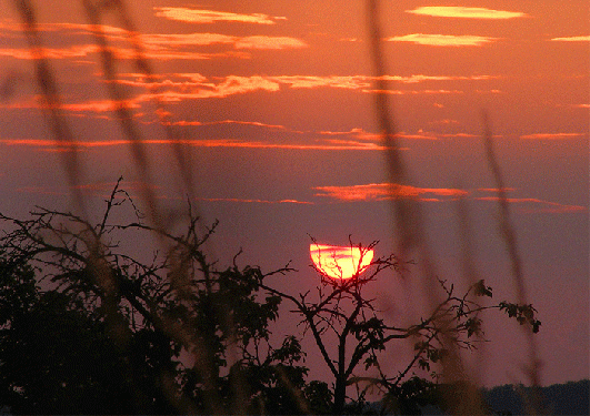 2009-06-gbb-Sonnenuntergang - Odenwald