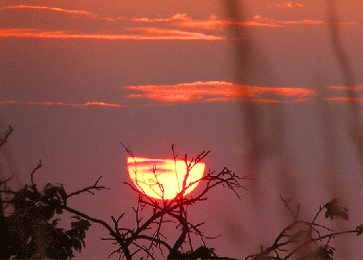 2009-06-gbba-Sonnenuntergang - Odenwald