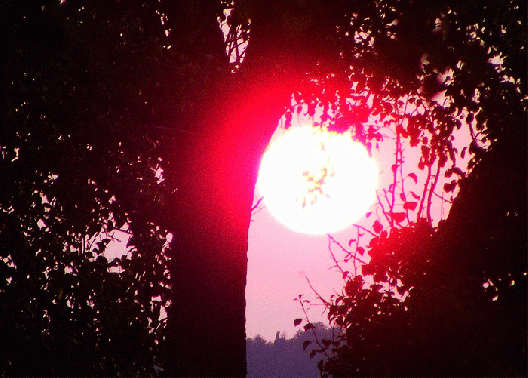 2009-06-gbj-Sonnenuntergang - Odenwald