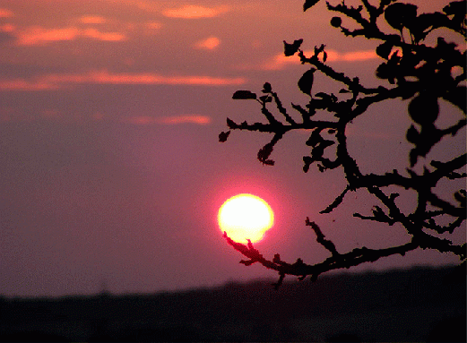 2009-06-gbk-Sonnenuntergang - Odenwald