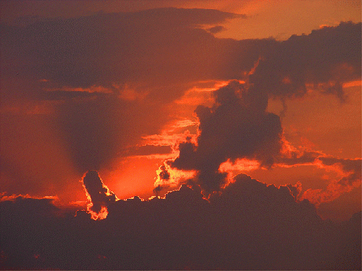 2009-07-aah-Sonnenuntergang - Mannheim