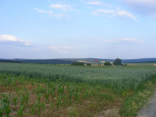 2009-07-aca-Blick von vermuteten Folienballon-Landegebiet zhum Beobachtungsort (siehe Kreuz)