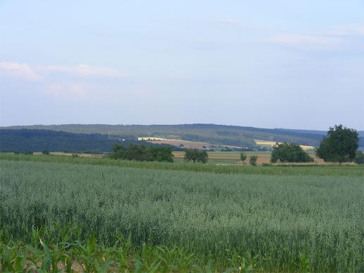 2009-07-acb-Vermutetes Landegbiet - Suche nach Folienballon verlief jedoch negativ