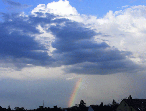 2009-07-bc-Regenbogen - Mannheim