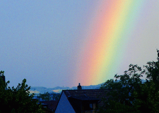 2009-07-bcb-Regenbogen - Mannheim