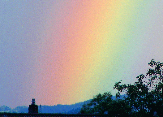 2009-07-bcba-Regenbogen - Mannheim