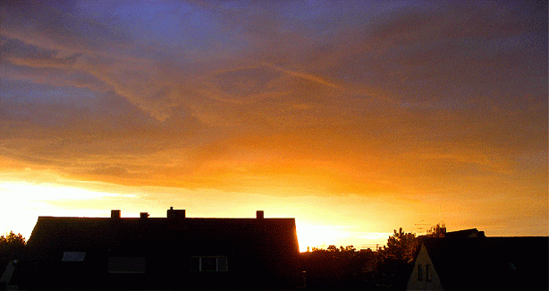 2009-07-bcd-Sonnenuntergang - Mannheim