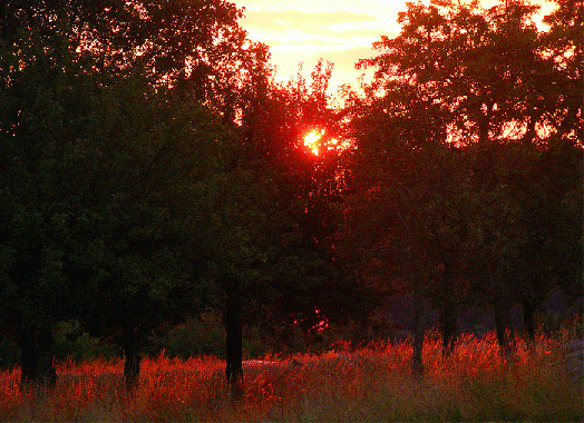 2009-07-ca-Sonnenuntergang - Odenwald