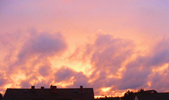 2009-07-dj-Sonnenuntergang - Mannheim