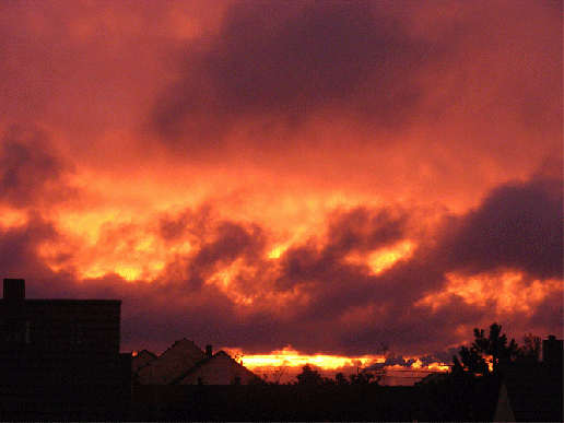 2009-07-dje-Sonnenuntergang - Mannheim