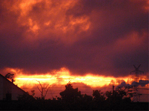 2009-07-djf-Sonnenuntergang - Mannheim