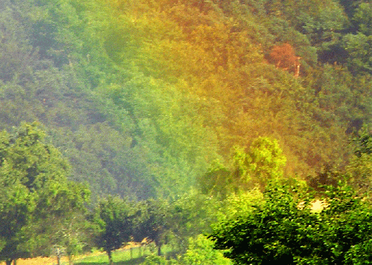 2009-07-dybc-Regenbogen - Odenwald