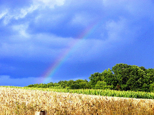 2009-07-dybi-Regenbogen - Odenwald