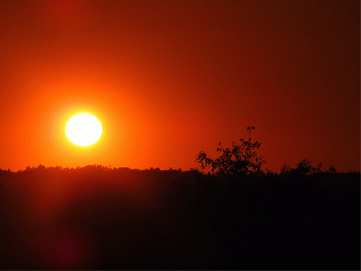 2009-08-bhmb-Sonnenuntergang - Odenwald