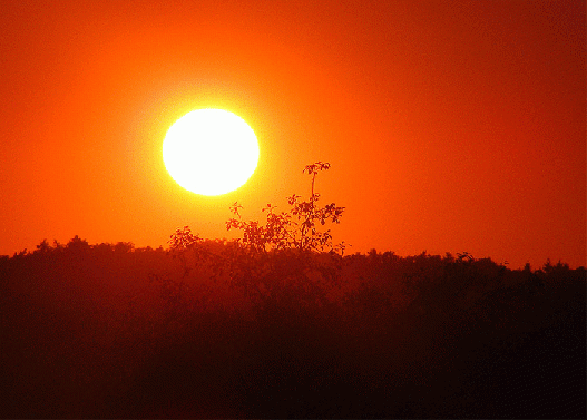 2009-08-bhmc-Sonnenuntergang - Odenwald