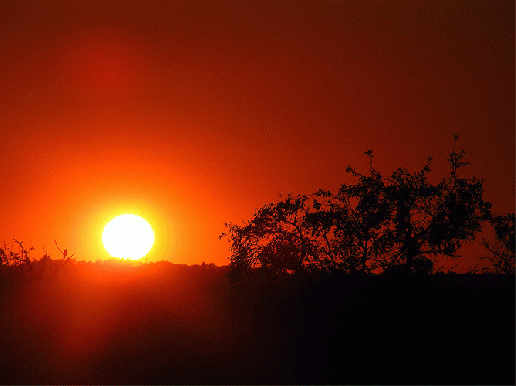 2009-08-bhmd-Sonnenuntergang - Odenwald