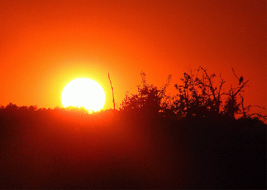 2009-08-bhmf-Sonnenuntergang - Odenwald