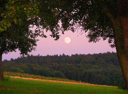 2009-08-bhmhd-Mondaufgang - Odenwald