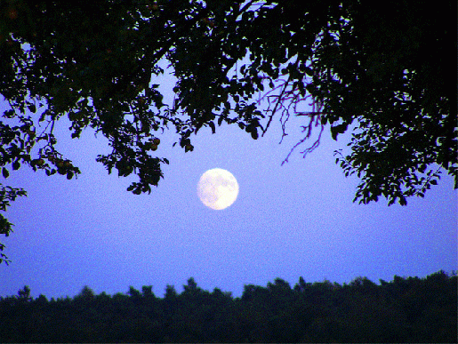 2009-08-bhmk-Vollmondaufgang - Odenwald