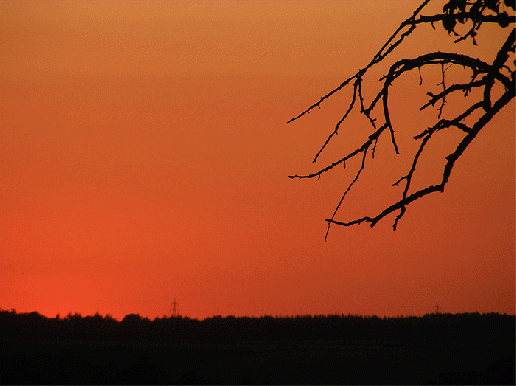 2009-08-bhmka-Sonnenuntergang - Odenwald