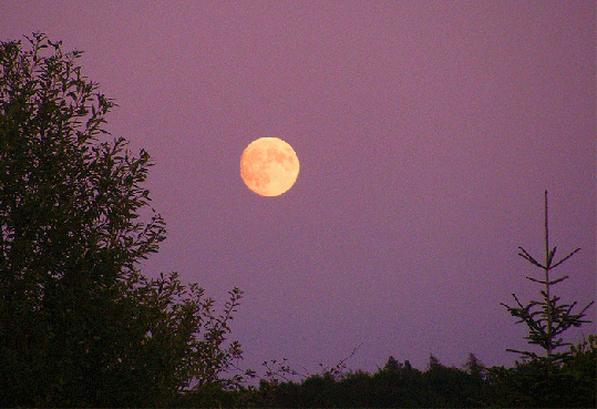 2009-08-bhmkb-Vollmond - Odenwald