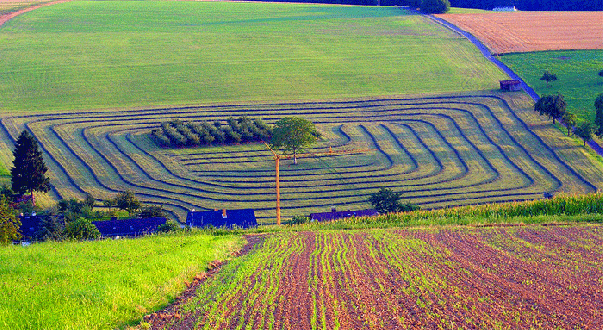 2009-08-boka-Mu00e4hkreise - Odenwald