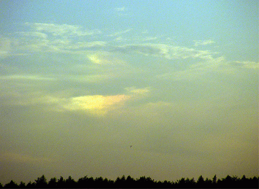 2009-08-boma-linke Nebensonne - Odenwald