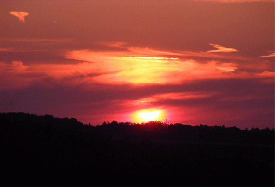 2009-08-bqd-Sonnenuntergang - Odenwald