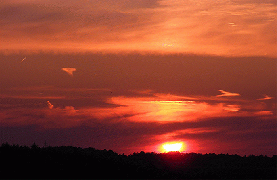 2009-08-bqda-Sonnenuntergang - Odenwald