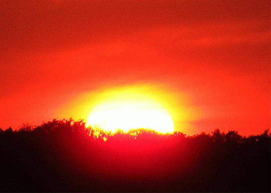 2009-08-bqe-Sonnenuntergang - Odenwald